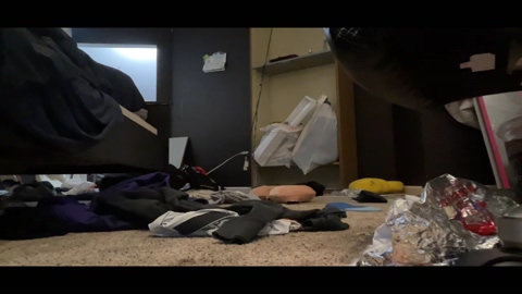 jimmylol42  28-08-2022